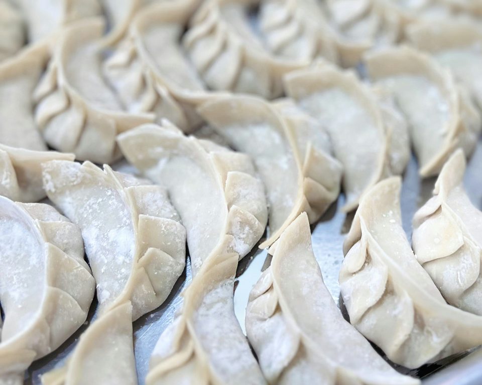 Freshly folded gyozas in a row