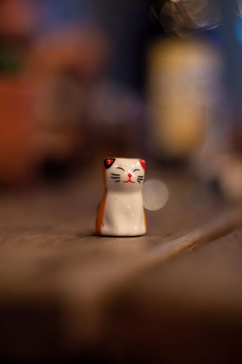 Maneki-neko figurine on the counter